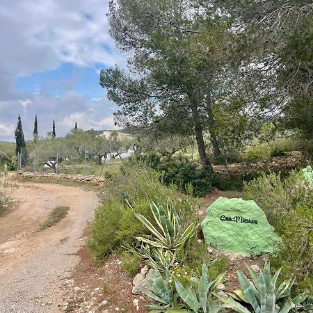 Paraiso Bell Tent Tortosa Dış mekan fotoğraf