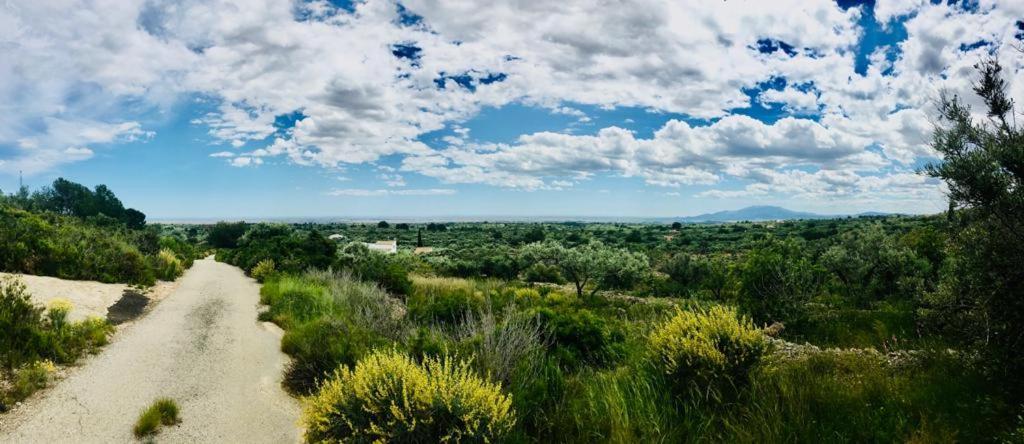 Paraiso Bell Tent Tortosa Dış mekan fotoğraf