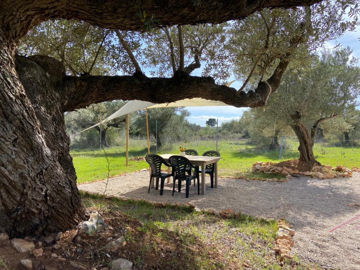 Paraiso Bell Tent Tortosa Dış mekan fotoğraf